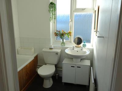 Picture 7